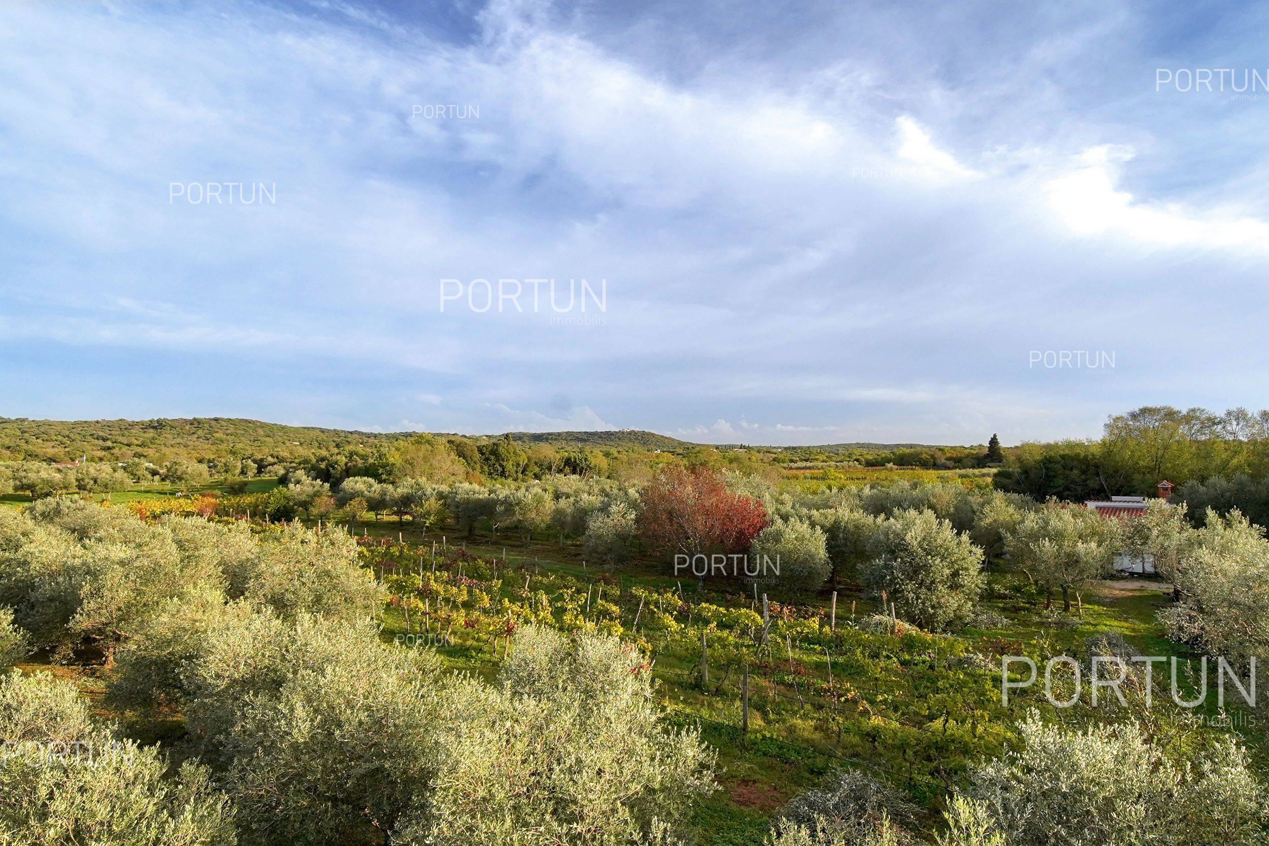 Haus zum Verkauf in Rovinj - 20718 - 05