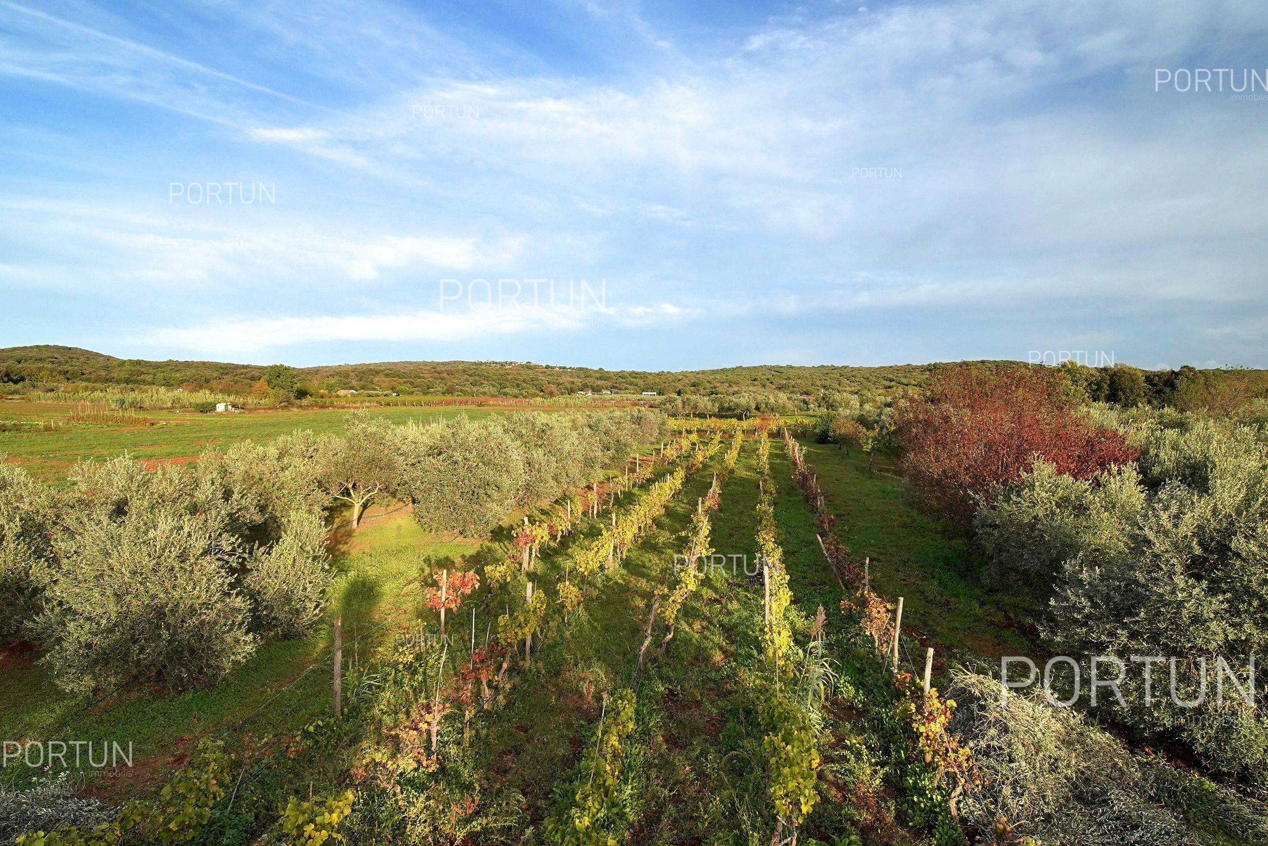 Haus zum Verkauf in Rovinj - 20718 - 04