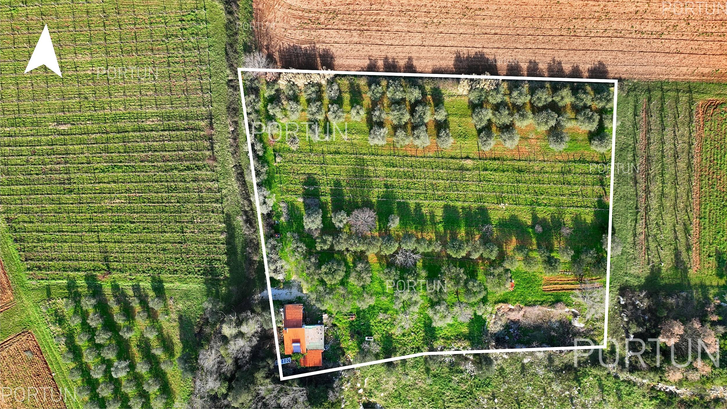 Haus zum Verkauf in Rovinj - 20718 - 02