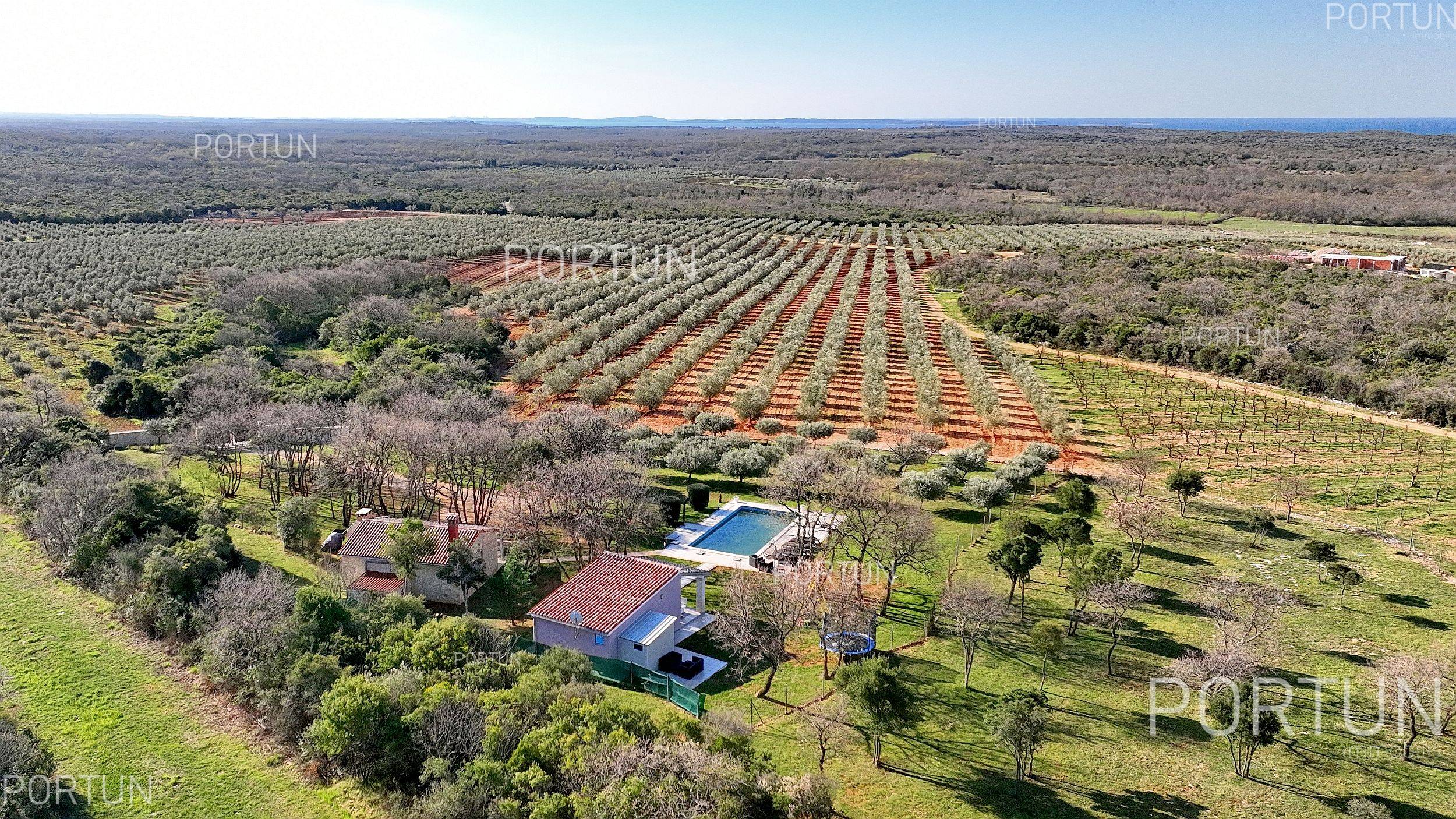 Casa in vendita a Rovigno - 20720 - 04