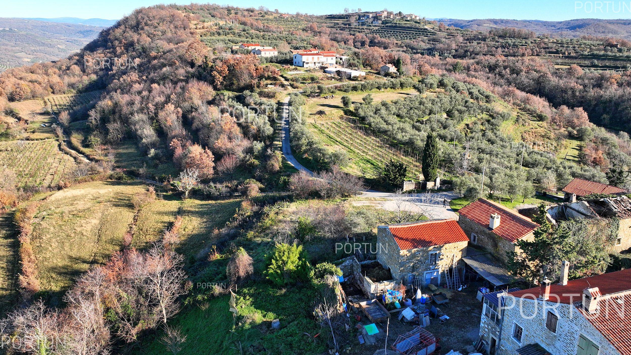 House for Sale in Buje - 20816 - 07