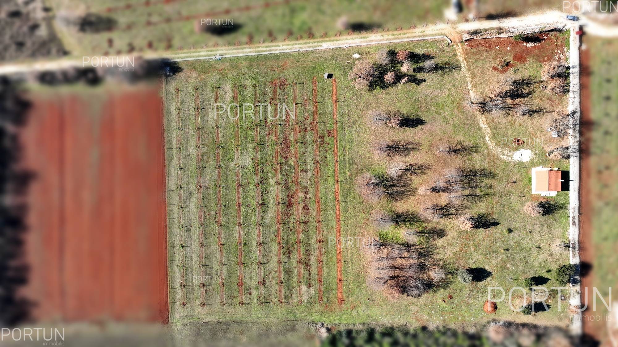 Haus zum Verkauf in Rovinj - 20830 - 03