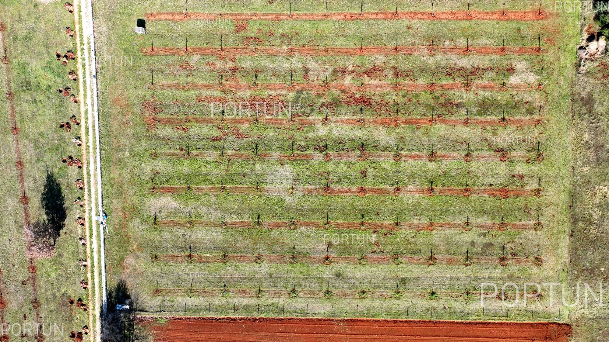 Haus zum Verkauf in Rovinj - 20830 - 11