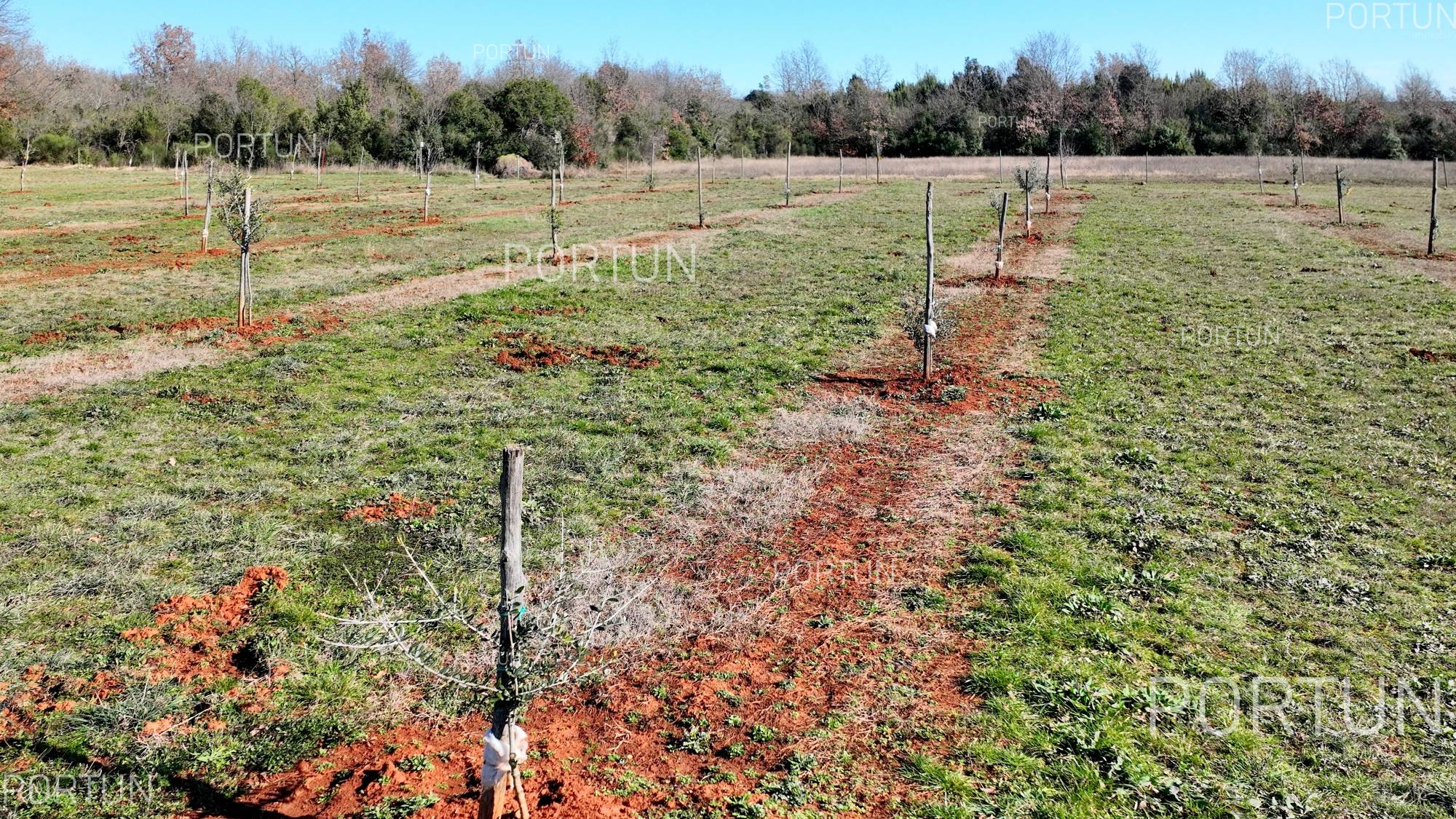 Haus zum Verkauf in Rovinj - 20830 - 12