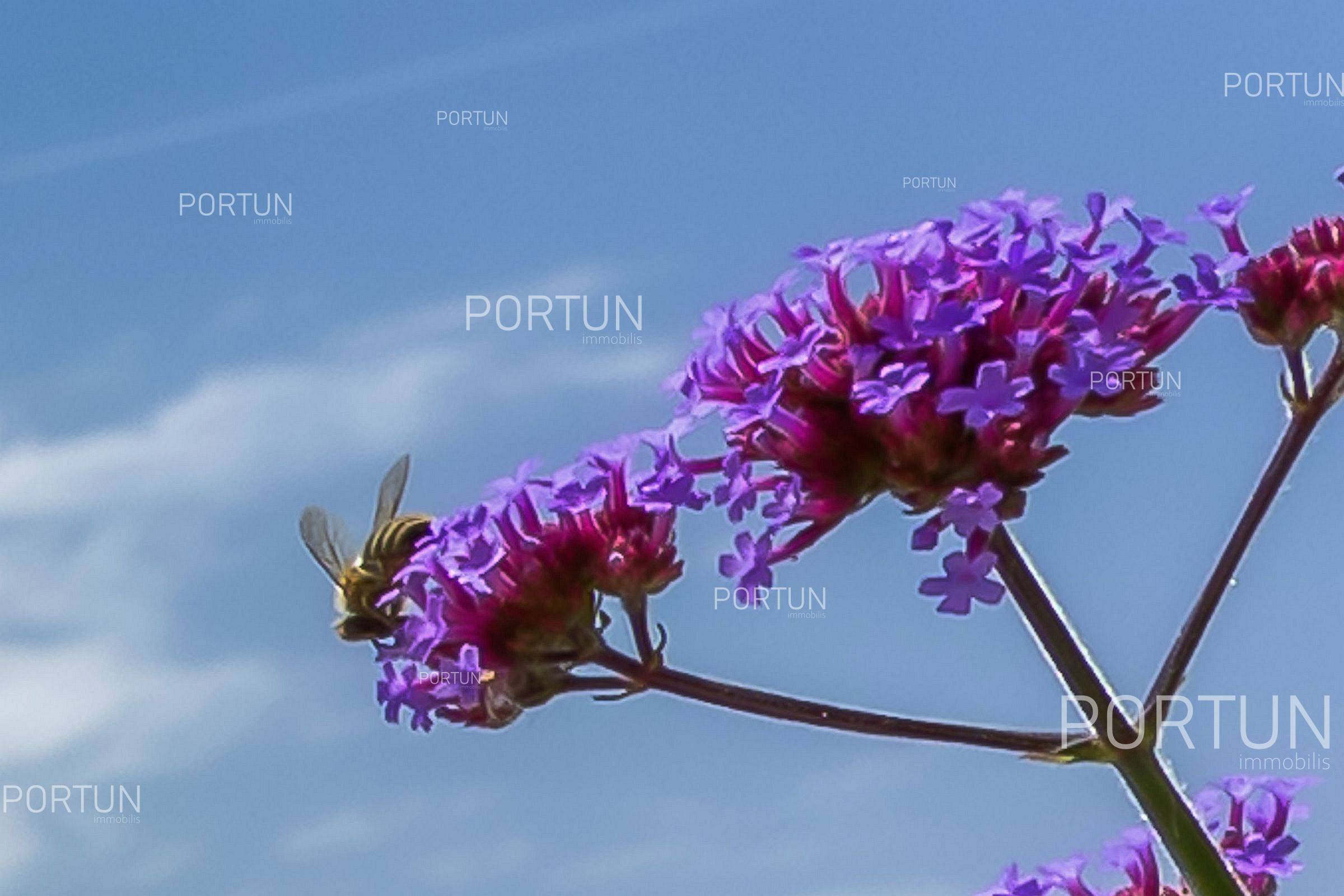 Kuća na prodaju Labin - 20910 - 18