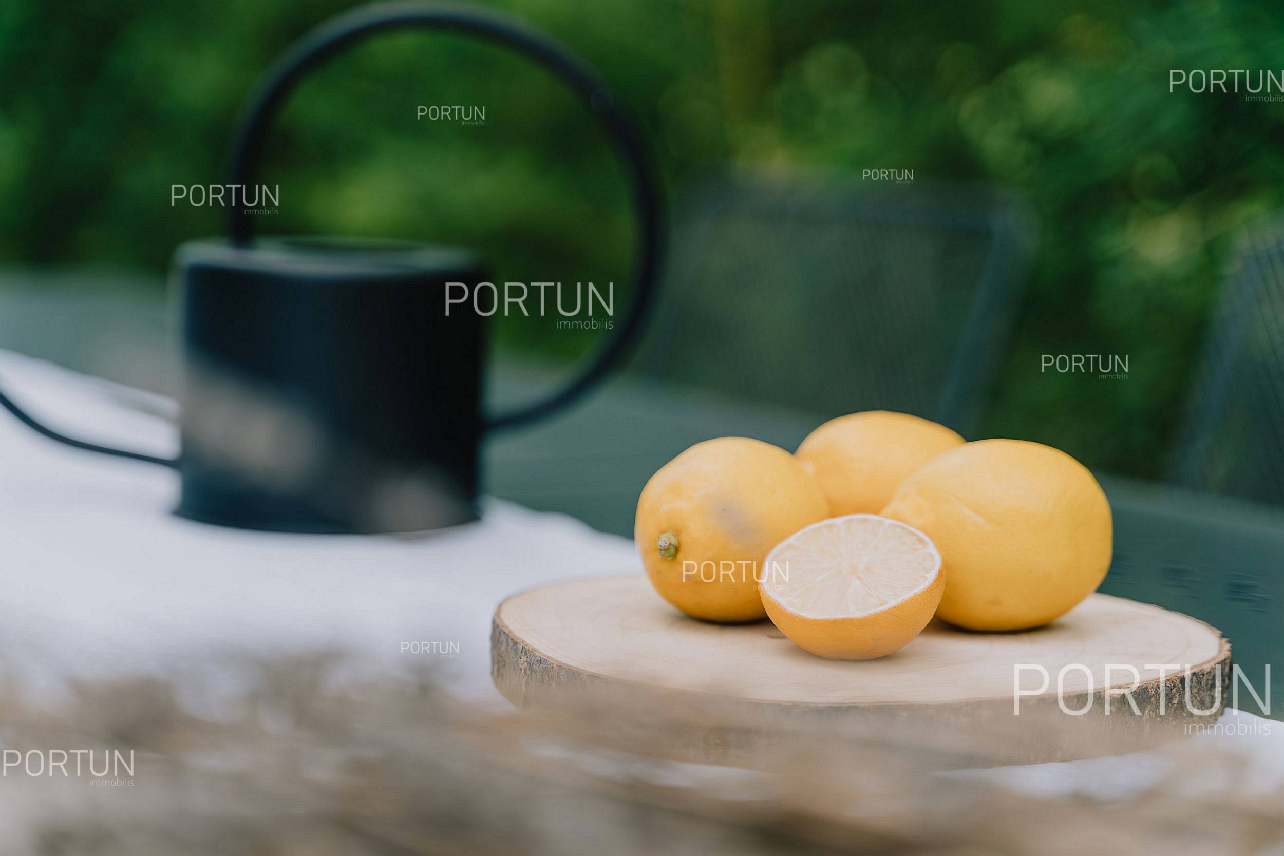 Kuća na prodaju Višnjan - 20765 - 42