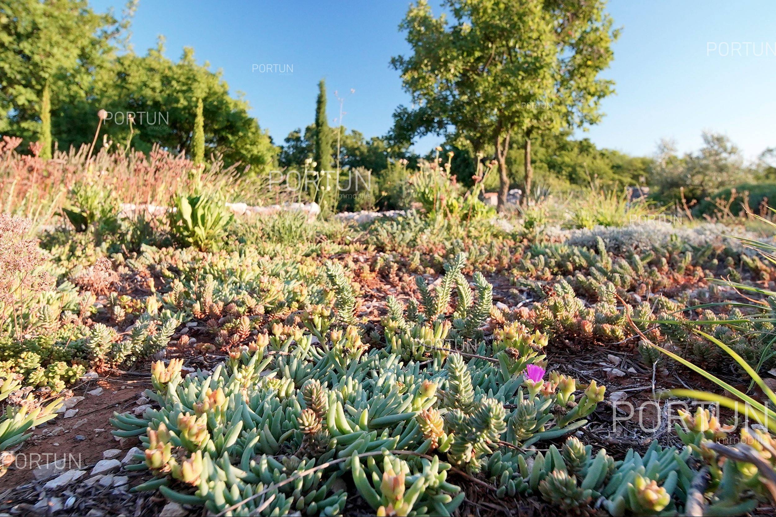 Házat  Labin - 20794 - 25