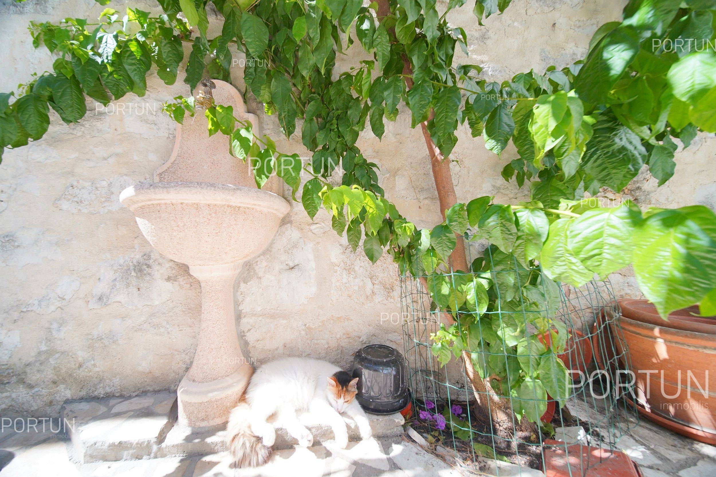 Casa in vendita a Rovigno - 20778 - 05