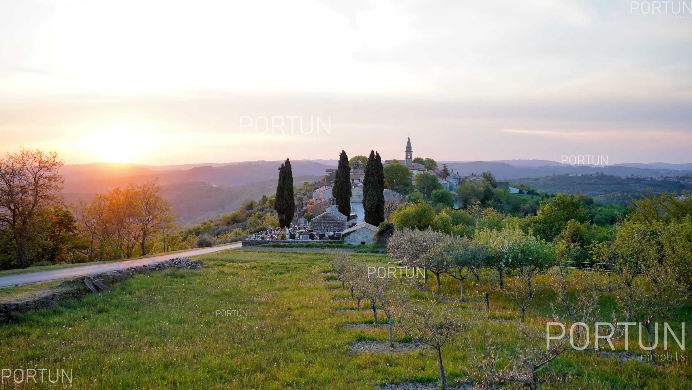 item_Gdje kupiti zemljište u Istri tijekom ljeta 2025. – savjeti i preporuke